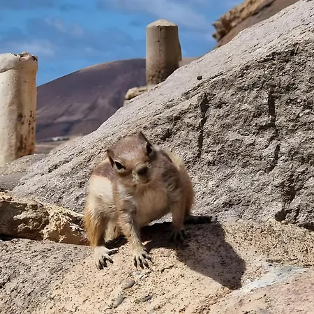 Appartement La Casita